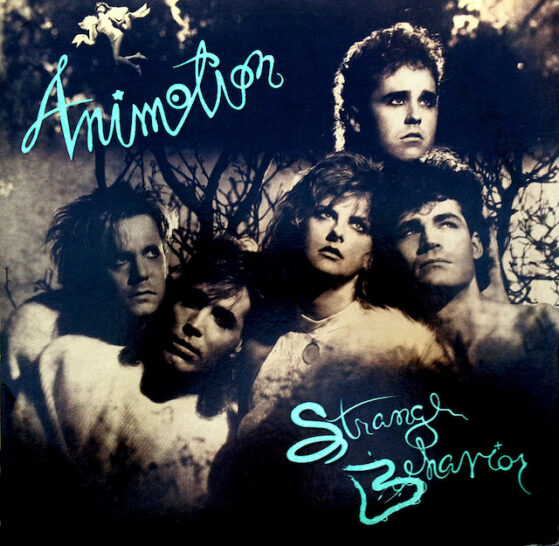 album-art